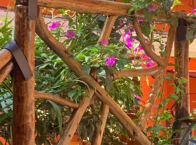Front Bahia